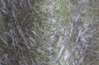 Glenelg fibreglass roof work